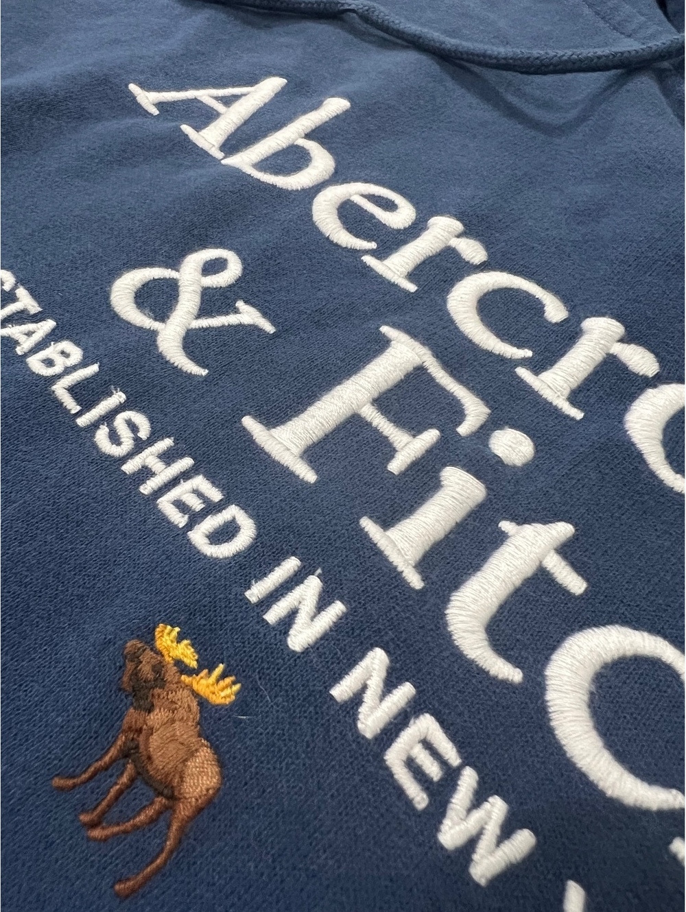 Y2K Abercrombie & Fitch NWT Blue embroidered Hoodie Medium - Picture 4 of 7